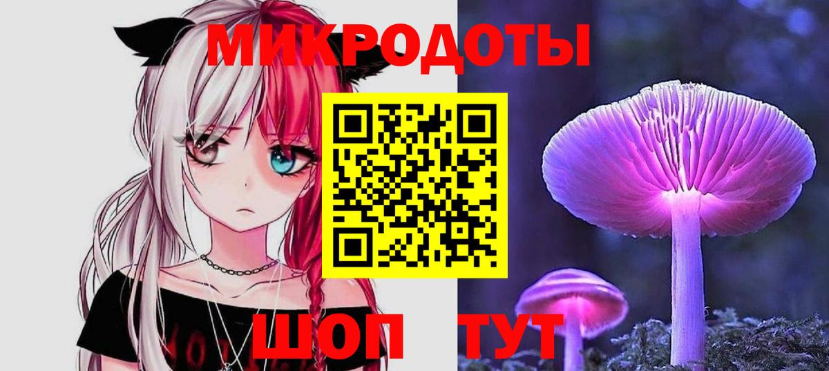 Галлюциногенные грибы прущие грибы Великий Устюг