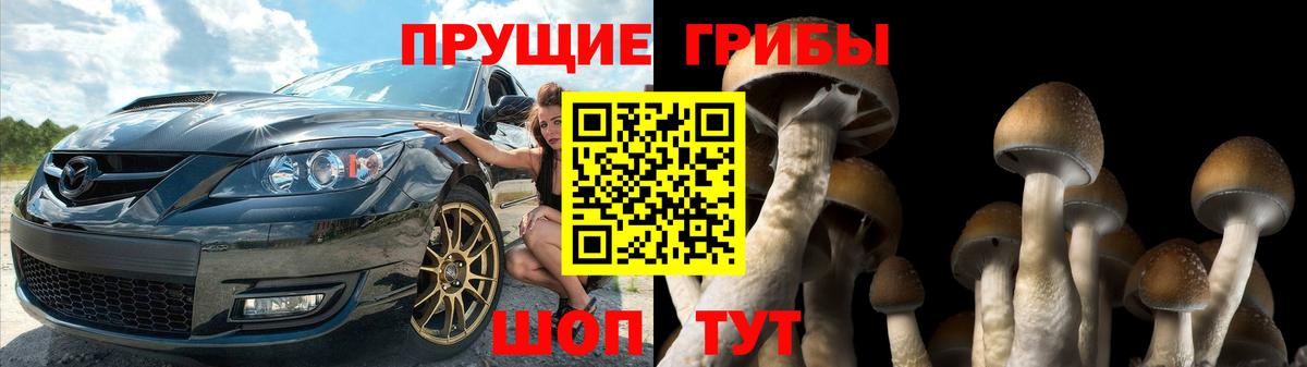 Великий Устюг  Галлюциногенные грибы ЛСД  Псилоцибиновые грибы мицелий  Вход с VPN 